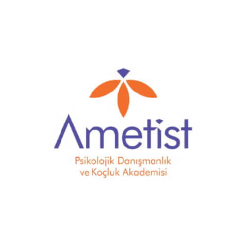 Ametist Akademi 